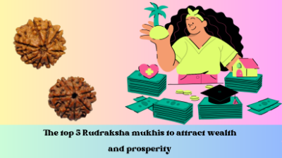 The top 5 Rudraksha mukhis to attract wealth and prosperity